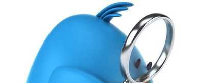 Twitter Bird